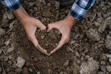 Farmers' expert hands check soil health before planting vegetable seeds or seedlings. Business idea or ecology.