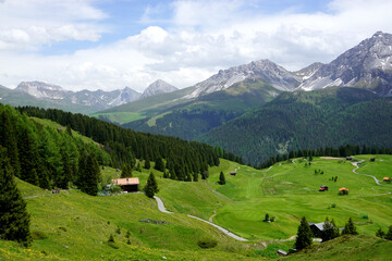 Fototapeta na wymiar Summer in Switzerland Swiss Alps