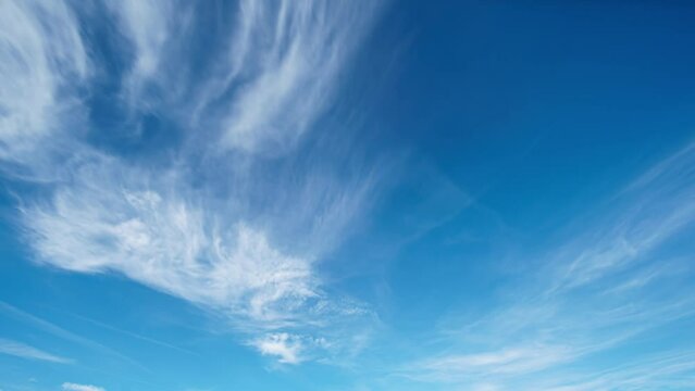 cirrus clouds in the blue summer sky