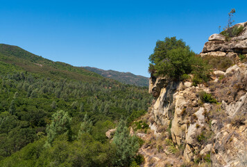 View of Los Padres National Forest