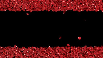 Red rose petals blowing transition reveal on alpha background