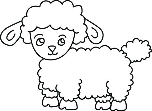 illustration of sheep