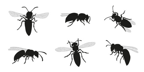 various wasp silhouettes - obrazy, fototapety, plakaty