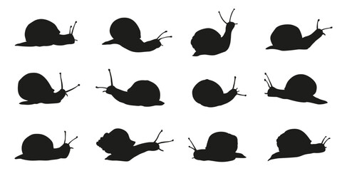various snail silhouettes