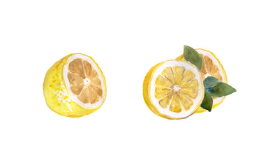 Lemon,  lemons, citron, citrus , watercolor , fruit illustration