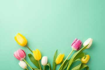 Women's Day concept. Top view photo of bunch of colorful tulips on isolated teal background with...
