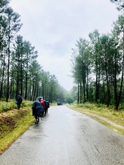Obraz premium Tramo del Camino de Santiago, España