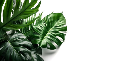 Naklejka na ściany i meble Tropical green leaves background on white - Generative AI