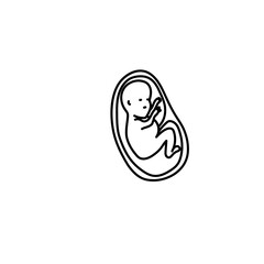 Human fetus development line art..