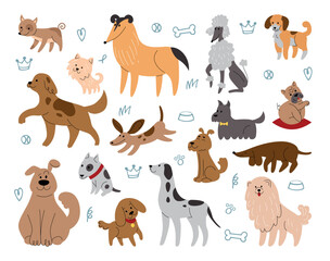 Cute sketch dogs. Pretty domestic animals. Fun pet characters. Happy portraits for wallpaper. Canine breeds. Poodle and dachshund. Adorable mammals set. Vector tidy isolated illustration