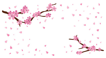 Naklejka premium Spring sakura flowers. Tree blossom. Japanese pink cherry blossom. Flying bloom petals. Japan Floral fall. Oriental branch for summer wedding. Botanical frame. Vector cartoon illustration