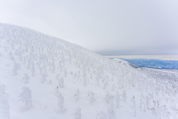 Snow Monsters of Zao, Winter 2023 yamagata japan 