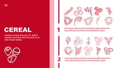 cereal plant healthy food landing header vector