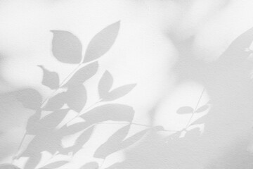 Shadow and sunshine of leaf reflection. Jungle leaves tree gray darkness shade and light on wall wallpaper, shadows overlay effect, mockup design. Grey tropical shadow foliage artistic background