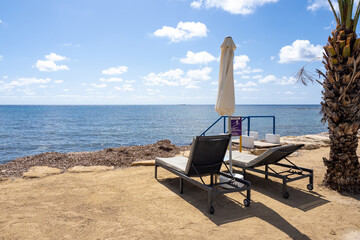 A pair of sun loungers and an umbrella under a palm tree on a rocky shore on the coast of Cyprus