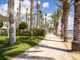 Promenade with young palm trees along the sandy beach, the first line of hotels in Paphos, Cyprus