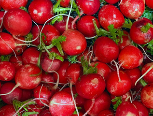 A heap of fresh red radishes
