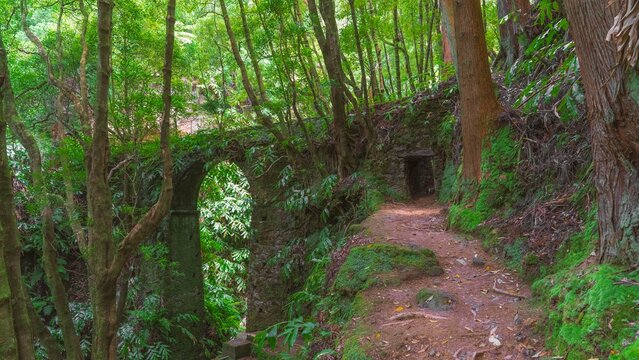 Rota da &Aacute;gua ist ein Wanderweg auf alten Kan&auml;len &uuml;ber die das Wasser nach Ponta Delgarda geleitet wurde. Alles ist verwachsen und mystisch und sieht aus wie Ruinen einter untergegangenen Zivilisation