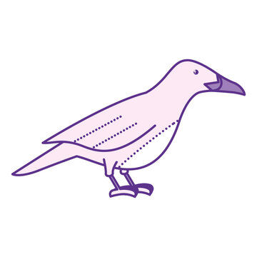PNG image icon of pink birds with purple transparent background