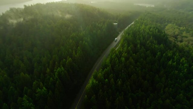 Lush green forest road Ucluelet Vancouver Island British Columbia Misty island mountains West Coast Canada Pacific Ocean coast. Beautiful Pacific Rim National Park Golden sunrise blue water aerial