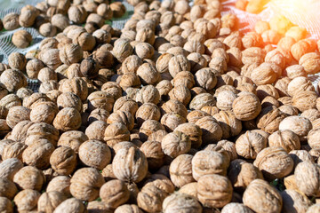 Lots of walnuts background, freshly harvested crop. Healthy food concept.