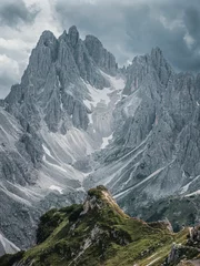 Wall murals Alps Vertical shot of snowy alps on a cloudy day