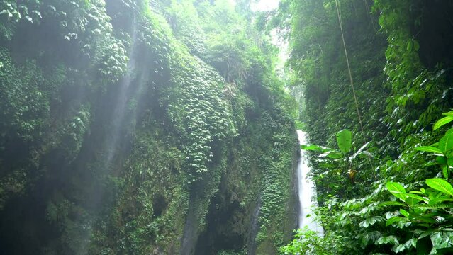 Amazing and beautiful tropical Hidden waterfall, which is part of the Sekumpul waterfall complex. Bali Island, Indonesia