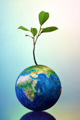 Earth globe with small plant - 582184223