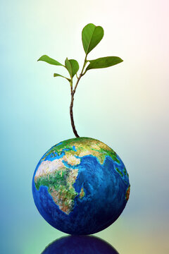 Earth globe with small plant