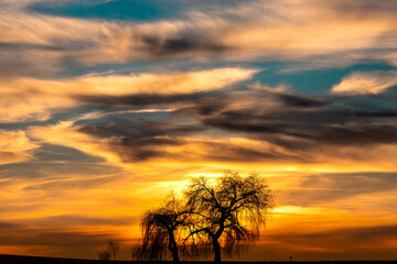 zwei Bäume in farbenprächtigem Sonnenuntergang