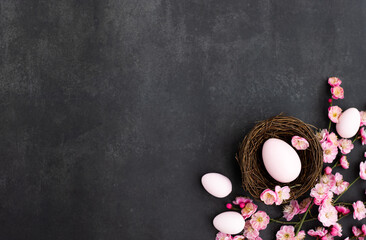 Stylish background with colorful easter eggs isolated on dark concrete background with blooming branches of sakura flowers