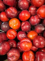 Closeup of a heap of colorful red and shiny prunes