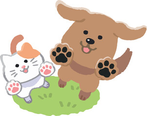 
芝生で見上げる犬と猫