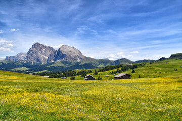 The SasLong and the Sasso Piatto, seen from the Alpe di Siusi