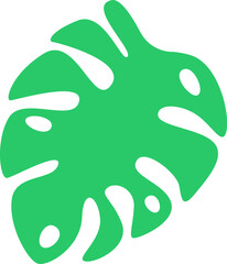 Silhouette of tropical plant leaf