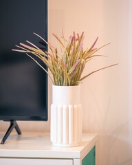 Vertical shot of decorative plant in a white vase next to the TV.