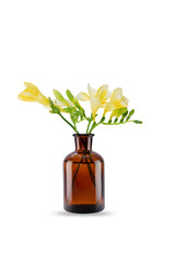 yellow bouquet in vase side view on isolated white background.