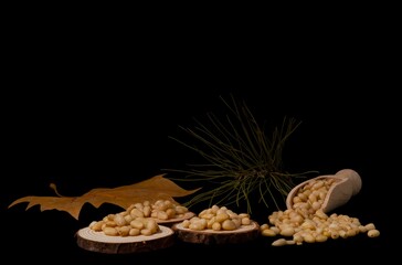 pine nuts on slices of wood dried leaves and pine branch