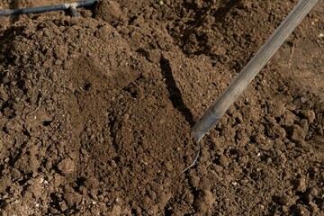shovel digging the soil of an orchard