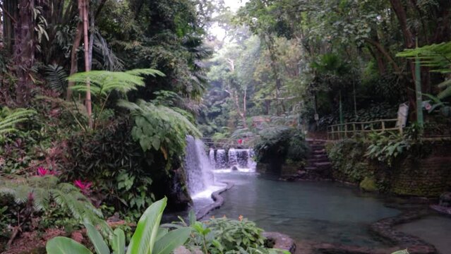 waterfall in the forest from bato spring laguna