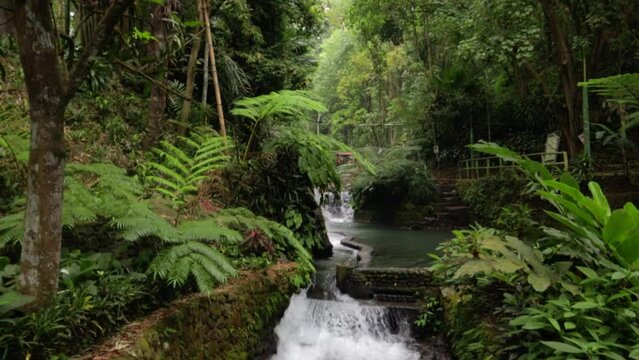 waterfall in the jungle from bato spring laguna
