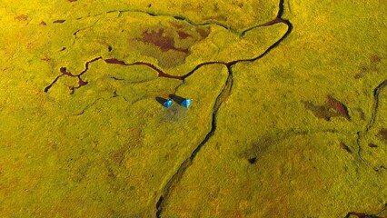 Aerial landscape of roads in large green ground at Greenland © Gorka Ipiñazar/Wirestock Creators
