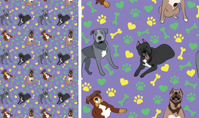 Pitbull dogs on a playful violet background with bones, hearts, paws. Funky, colorful vibe, vibrant palette. Simple, clean, modern texture. Summer seamless pattern with dogs. Birthday present, card.