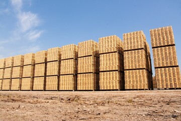 Stack of wooden pallets in a warehouse cargo storage with a cloudy blue sky in the background