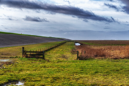 Noard Fryslan Butendyks Nature Reserve, The Netherlands.