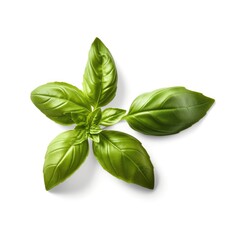 Fototapeta premium Fresh basil green leaves organic farm isolated on white background Generative AI Illustration