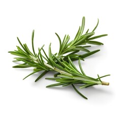 Fototapeta premium Fresh rosemary green leaves from organic farm isolated on white background Generative AI Illustration