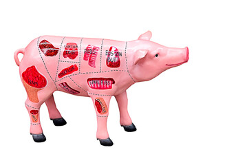 A model of a pig with drawn pieces for meat. Butcher cut poster. Cuts of porc. Pork trimmings....