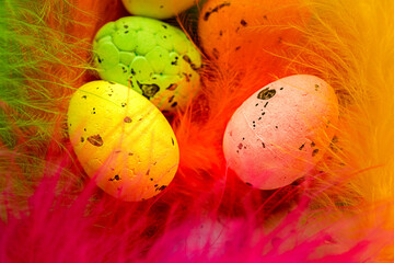 decorated easter eggs, hidden under some colored feathers, postcard, decoration, easter day celebration