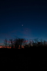 Planets in conjunction with young Moon above tree countryside silhouettes.
